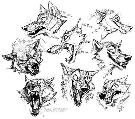 Wolf Face Drawing, Wolf Character, Wolf Face, Wolf Pup, Canine Art, Wolf Drawing, 캐릭터 드로잉, Animal Sketches, Wolf Art