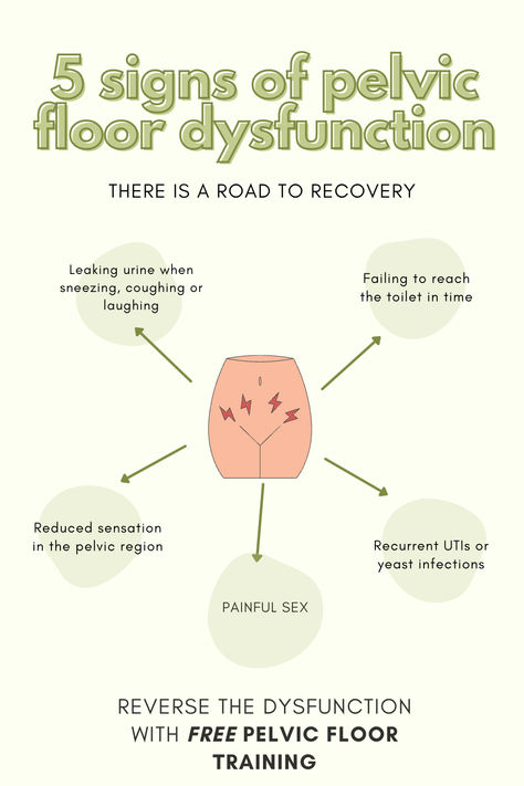 Are you suffering from pelvic floor dysfunction? Try the Bromley Method and feel better, no matter how long its been. #pelvicfloor #incontinence #coretraining #newmama #weakpelvicfloor #freetraining #core #free #newmother #urineleak #painfulsex #bromleymethod #peloton #pelomama #pelotonmoms Pelvic Floor Health, Weak Pelvic Floor Symptoms, Pelvic Floor Exercises For Incontinence, Diaphragmatic Breathing Pelvic Floor, Pelvic Floor Exercises Strengthen During Pregnancy, Strengthen Pelvic Floor Muscles While Pregnant, Pelvic Region, Pelvic Health, Pelvic Floor Dysfunction