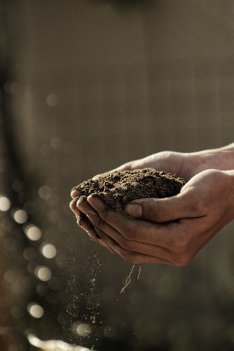 bokeh photography of person carrying soil photo – Free Nature Image on Unsplash Best Grass Seed, Farm Images, Farm Pictures, Hardscape Design, Bokeh Photography, Earth Pictures, Garden Pictures, Free Plants, Natural Garden