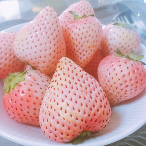 Japan Candy Box on Twitter: "White strawberries are a specialty in Japan! 🍓 These delicious treats are white both outside and inside! ✨😋 They are a popular gift and can be expensive to buy. 😮🎉 Have you ever tried them? 😍► https://t.co/hIPvH8Ydkc #japancandybox #japanesecandy #whitestrawberries #japan… https://t.co/8K3l14F2iV" White Strawberry Aesthetic, White Strawberries, Strawberry Food, Strawberry Cute, Pink Strawberries, Strawberry Aesthetic, Fruit Basket Gift, Japan Candy, Strawberry Summer