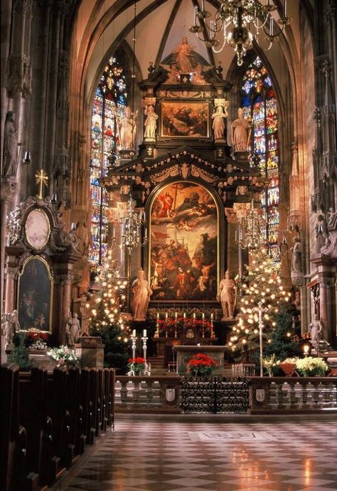 Christmas time at St Stephens Cathedral - Vienna, Austria St Stephen's Cathedral Vienna, Starověký Egypt, Saint Stephen, Old Churches, Cathedral Church, Church Architecture, Old Church, Noel Christmas, Place Of Worship