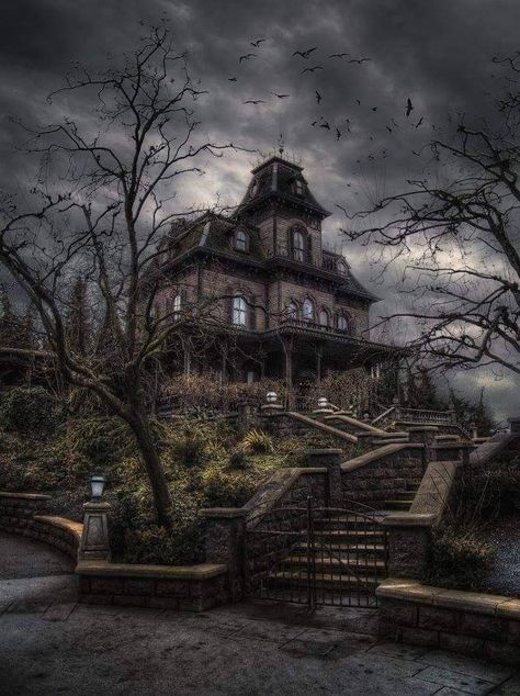 Phantom Manor: A Gothic Horror Story | Phantom Manor Legends Scary Houses, Creepy Houses, Norman Bates, Abandoned Mansion, Spooky Places, Bates Motel, Spooky House, رعب نفسي, Abandoned House