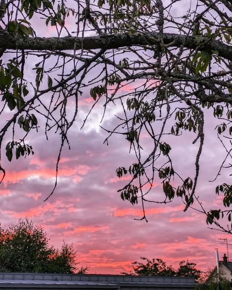 Il y avait longtemps que les aurores n'avaient pas aquareller le ciel. C'était ce matin et c'était très beau. Magie de l'impermanence. Magie du moment présent. #leverdesoleil #sunset #damenatureestuneartiste #instantprécieux #momentprésent Photo Du Ciel, Photo Ciel, Presentation, On Instagram, Instagram