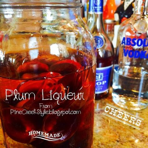 Christmas Liquor, Plum Brandy, Homemade Wine Recipes, Homemade Cider, Infused Liquors, Ranch Recipes, Infused Recipes, Plum Recipes, Japanese Plum