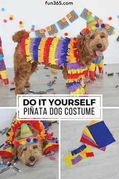 Dog Costumes Halloween Large, Cute Dog Costumes, Dog Onesies, Room Decor Crafts, Home Decor Diy Crafts, Diy Dog Costumes, Diy Pinata, Dog Clothes Diy, Pet Halloween Costumes