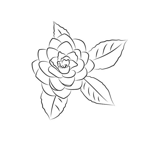 Background Line Art, Line Art Simple, Flower Line Drawings, Camellia Flower, Art Simple, Flower Drawing, Line Drawing, Flower Tattoo, Wedding Cards