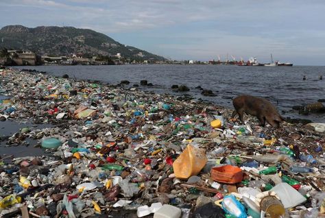 Plastic pollution flowing into oceans to triple by 2040 - study The amount of plastic waste flowing into the ocean and killing marine life could triple in the next 20 years, unless companies and governments can drastically reduce plastic production, a new study published on Thursday said. #BreakingThePlasticWave #waste #plasticwaste #plastic #plasticpollution #reduce #pollution #ocean #marinelife #marine Climate Warming, Chemical Plant, Ocean Pollution, Environmental Problem, Plastic Industry, Water Pollution, Energy Industry, Oceans Of The World, Plastic Pollution