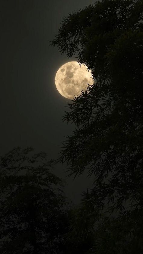 Blue Moon Photography, Sky Photography Nature, The Moon Is Beautiful, Dark Nature Aesthetic, Moon Pictures, Night Scenery, Moon Photography, Sky Photos, Beautiful Views Video