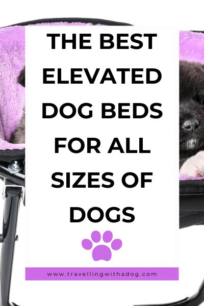 Diy Elevated Dog Bed, Doggie Beds, Raised Dog Beds, Mom Crafts, Pet Camping, Elevated Dog Bed, Breeds Of Dogs, Outdoor Dog Bed, Elevated Bed