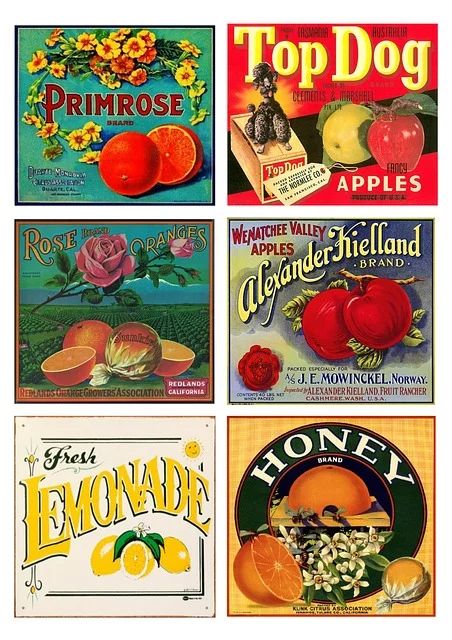 Vintage Food Labels, Vintage Fruit Crate Label, Miniature Dollhouse Food, Fruit Labels, Fruit Crate Label, Rice Paper Decoupage, Fruit Crate, Crate Label, Apple Roses