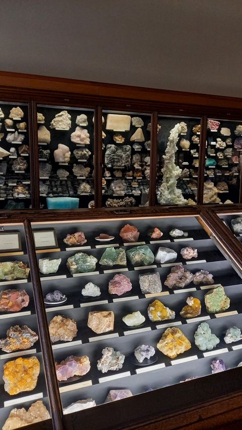 Archaeology Aesthetic Room, Gemology Aesthetic, Geoscience Aesthetic, Natural History Museum Aesthetic, History Nerd Aesthetic, Science Museum Aesthetic, Natural Science Aesthetic, Fossil Aesthetic, Geologist Aesthetic