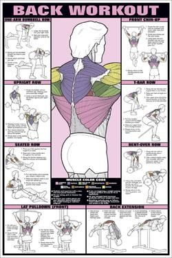 Trening Sztuk Walki, Gym Antrenmanları, Lifting Workouts, Weight Lifting Workouts, Pilates Training, Workout Posters, Online Fitness, Workout Chart, Power Yoga