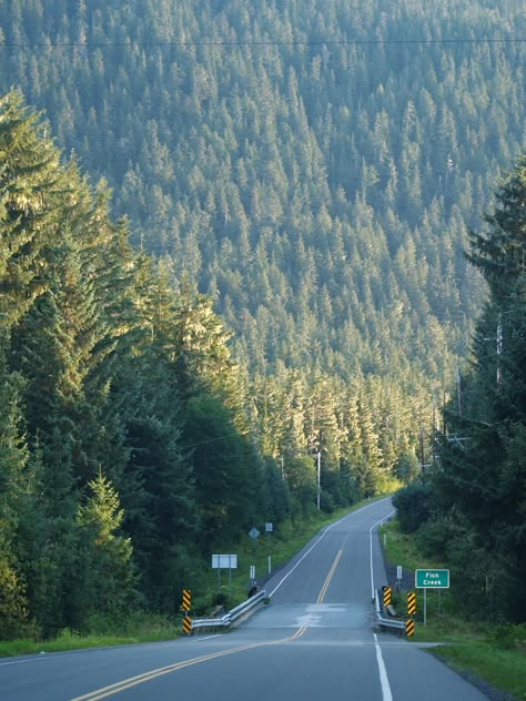 Late August light on North Douglas Island, Juneau, Alaska End Of August Aesthetic, Juneau Alaska Aesthetic, Alaska Aesthetic, Icon Nature, August Aesthetic, Southeast Alaska, Blonde Photography, Alaska Photography, All The Bright Places