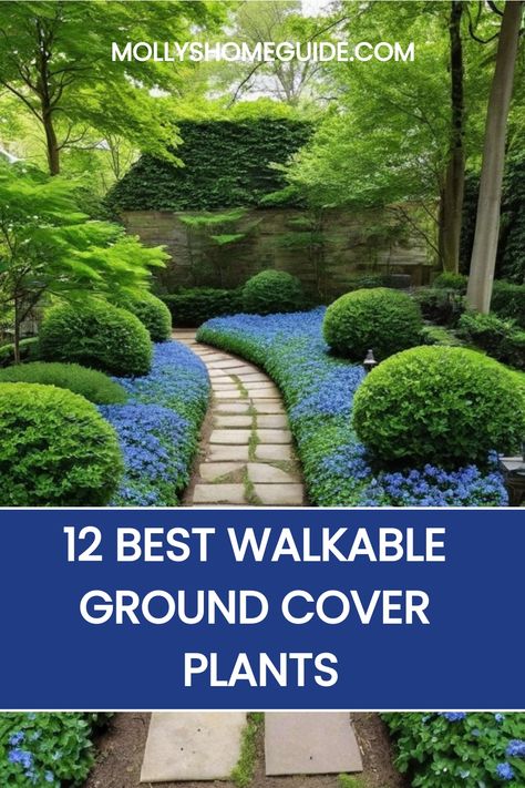 Explore the best ground cover plants for effortlessly beautifying your path and lawn with walkable ground covers. From vibrant ground cover flowers to high traffic ground cover plants, discover options to transform your landscape with ease. Whether you're looking for walkable ground cover plants or seeking ways to add flair to your outdoor space, these choices are perfect for every type of garden. Brighten up your surroundings with these versatile and durable ground covers that are both practica Steppables Ground Cover, Stepping Stone With Ground Cover, Ground Cover Along Fence, Best Ground Cover For Dogs, Walkable Ground Cover Grass Alternative, Landscaping With Ground Cover, Ground Cover That Chokes Out Weeds, Small Garden Path Ideas, Walkable Ground Cover