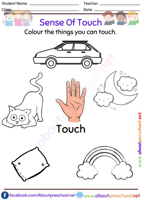 5 Senses Lesson Plan, 5 Senses Activities Kindergarten, Kindergarten 5 Senses, 5 Senses Activities For Preschoolers, Body Kindergarten, 5 Senses Worksheet, Grade R Worksheets, Body Parts Preschool Activities, 5 Senses Activities