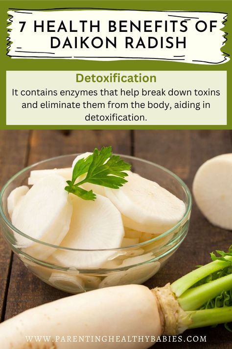 Check out 7 must know health benefits of Daikon Radish. Radishes Benefits, Radish Benefits, Foods High In Folate, High Fiber Vegetables, Natural Eating, Daikon Radish, Prevent Constipation, Nutrition And Health, Respiratory Health