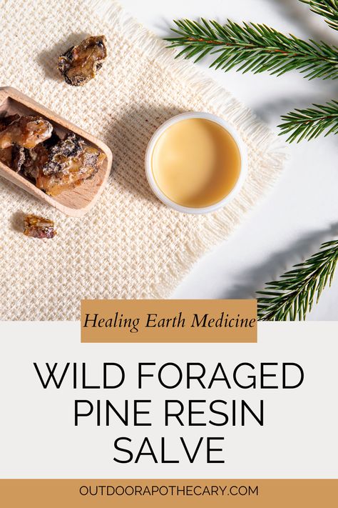 Discover the wonders of the majestic white pine and its healing resin in this insightful article. Learn how to forage and craft your own pine resin salve, a potent addition to any herbal first aid kit. This salve is not just a remedy but a connection to the ancient wisdom of the Earth and our ancestors. Perfect for nature enthusiasts and herbalists, this guide will deepen your understanding and appreciation of the gifts nature offers​​.#PineResinSalve #HerbalRemedies #ForagingWisdom Salve Packaging, Herbal First Aid Kit, Herbal First Aid, Herbal Skincare, Pine Resin, Herbal Skin Care, Herbal Salves, Insect Bites, Wound Healing