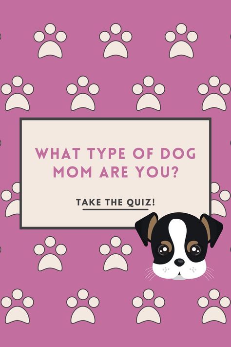 Just like there are different types of dogs, there are different types of dog moms out there too. Which one are you? Take this quiz to find out! Dog Quizzes, Dog Grooming Styles, Different Types Of Dogs, Grooming Style, What Dogs, 2023 Vision, Types Of Dogs, Puppy Party, Wolf Howling