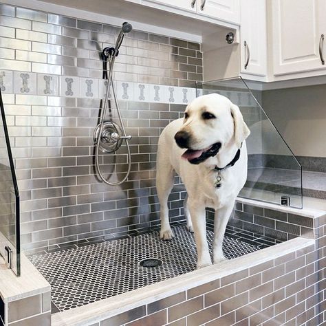 Large Dog Washing Station With Dog Bone Pattern Wall Tile Home Dog Wash, Dog Bathing Station, Dog Station, Patterned Wall Tiles, Wash Station, Washing Station, House Addition, Dog Spa, Dog Washing Station