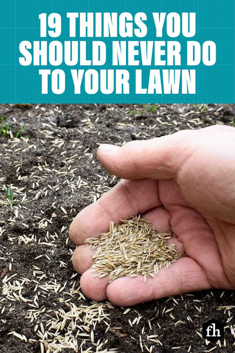 Whether you’re a green thumb or not, it’s easy to maintain a barefoot-worthy lawn with these tips. #lawncaretips #lawns #lawnscare #landscapingtips #landscaping Reseeding Lawn, Grass Seed Types, Fall Lawn Care, Zoysia Grass, Fall Lawn, Mailbox Landscaping, Bermuda Grass, Shade Garden Plants, Diy Lawn