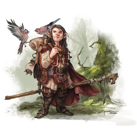 Druid Inspiration, Halfling Druid, Halfling Bard, Dnd Halfling, Gnome Dnd, Dnd Druid, Heroic Fantasy, Fantasy Races, Dungeons And Dragons Characters