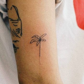 Fine line palm tree tattoo by kalula Tree Line Tattoo, Tree Tattoo Arm, Tropical Tattoo, Hawaii Tattoos, Palm Tattoos, Gemini Tattoo, Tree Tattoo Designs, Palm Tree Tattoo, Small Palms