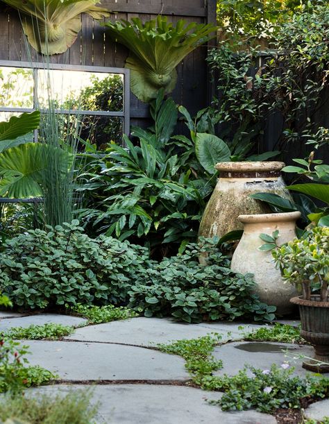 Stone Walkways, Beautiful Gardens Landscape, Sydney Gardens, Tropical Garden Design, Garden Types, Side Garden, City Garden, House Garden, Garden Cottage