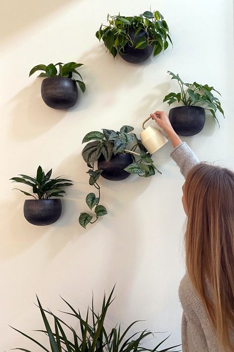 Bathroom Plants No Sunlight, Hanging Wall Planters Indoor, Wall Plants Indoor, Hanging Indoor Plants, Tattoo Plant, Indoor Plant Wall, Wall Planters Indoor, Hanging Wall Planters, Wall Mounted Planters