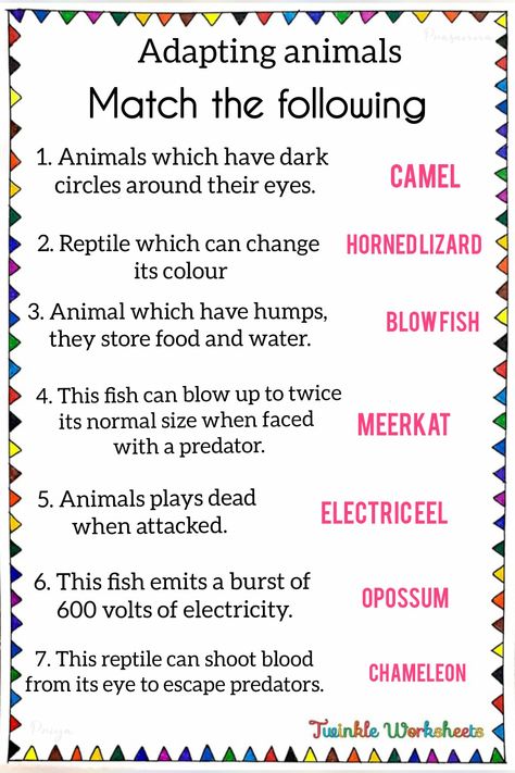 This worksheet is about learning adapting animals. Students have to read the question and try to answer it. This worksheet is a science worksheet for grade 6 students. Have fun learning with us!. Animals Worksheet, Science Questions, Animal Worksheets, Worksheet For Kids, Kids Animals, Easy Science, Science Worksheets, Grade 6, English Phrases