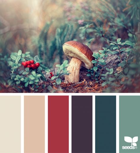 Design Seed, Visuell Identitet, Seeds Color, Color Schemes Colour Palettes, Design Seeds, Color Palette Design, Color Balance, Trik Fotografi, Color Inspo