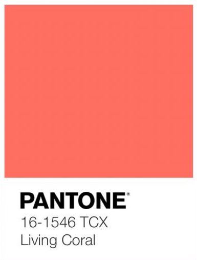 Coral Paint Colors, Coral Interior, Coral Colour Palette, Coral Walls, Coral Wallpaper, Pantone Colour Palettes, Coral Design, Pantone Color Of The Year, Live Coral