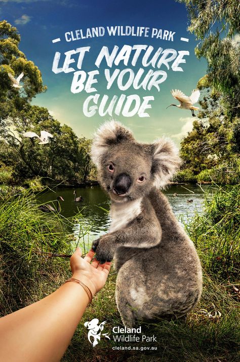 Advertisement by Showpony, Australia Zoo Marketing, Animals Australia, Tourism Design, Universal Parks, Australia Tourism, Ad Of The World, Travel Ads, Creative Advertising Campaign, Wildlife Park