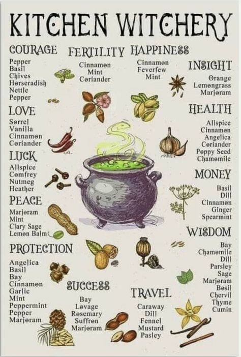 Homemade Garden, Magia Das Ervas, Kitchen Witchery, Wiccan Witch, Wiccan Spell Book, Witch Spell Book, Herbal Magic, Baby Witch, Witch Magic