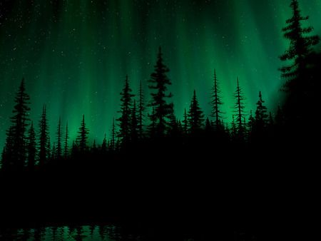 Forest put the game on pause Northern Lights Wallpaper, Dark Green Wallpaper, Magic Places, Plain Water, Aurora Borealis Northern Lights, Dark Green Aesthetic, Dark Green Background, Green Sky, Forest Wallpaper