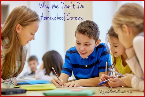 Why We Don’t Do Homeschool Co-ops Write Essay, Peer Assessment, Writing Games, Elie Wiesel, Persuasive Essays, Education Organization, Education Motivation, Argumentative Essay, Education Quotes For Teachers