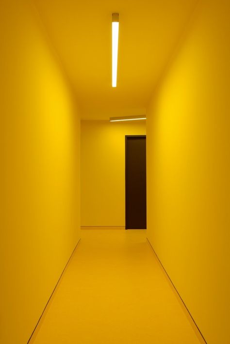 Colourful Corridor, Yellow Corridor, Best Hd Background, Yellow Aesthetic Pastel, Cb Editing Background, Cb Editing, Photoshop Digital Background, Blurred Background Photography, Desktop Background Pictures