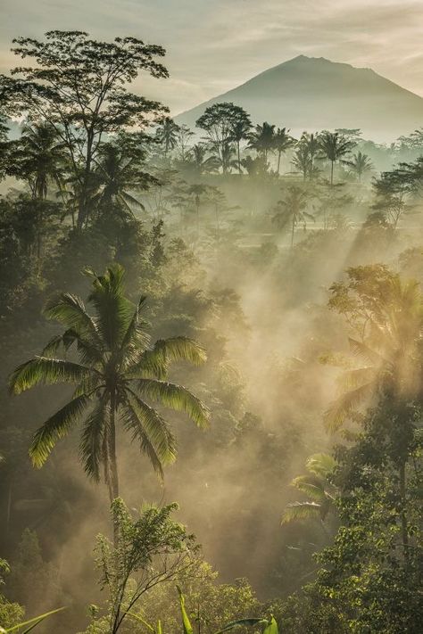 Misty Jungle, Mount Agung, Bali Nature, Jungle Aesthetic, In The Jungle, Nature Aesthetic, Pretty Places, Island Life, Green Aesthetic