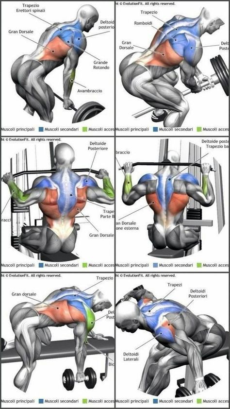 Back Weight Exercises, Workouts Weights, Wellness Nutrition, Trening Sztuk Walki, Weight Exercises, Best Chest Workout, Volleyball Workouts, Gym Workout Chart, Gym Workouts For Men