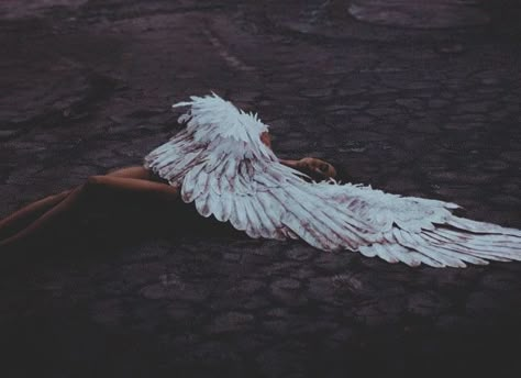 The fallen angel Only Angel Aesthetic, Fallen Angel Aesthetic, Fallen Angel Wings, Angel Core, The Fallen Angel, Ange Demon, Only Angel, Angel Aesthetic, Fallen Angels