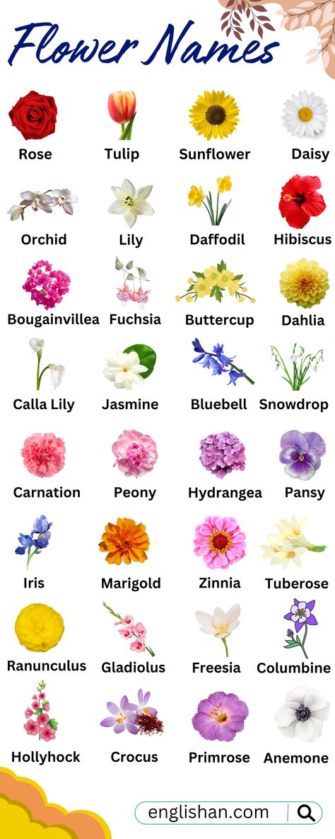 All Flowers Names in English English Vocabulary All Flowers Name, Flowers Name In English, Kurban Bajram, Pretty Flower Names, Fruits Name In English, Tatabahasa Inggeris, Different Kinds Of Flowers, Walls Art, Magia Das Ervas