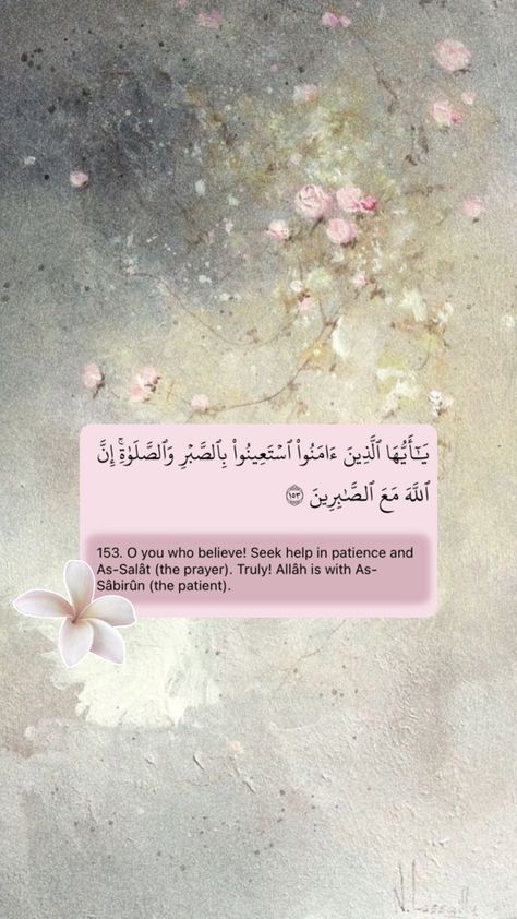 Islam, viral, pink, aesthetic, bow, flower, surah Al Baqarah, Quran, wallpaper, Muslim, Muslimah, avtumn7 Pink Aesthetic Bow, Wallpaper Muslim, Surah Al Baqarah, Aesthetic Bow, Quran Wallpaper, Appreciate Life Quotes, Beautiful Quran Quotes, Self Reminder, Bear Wallpaper