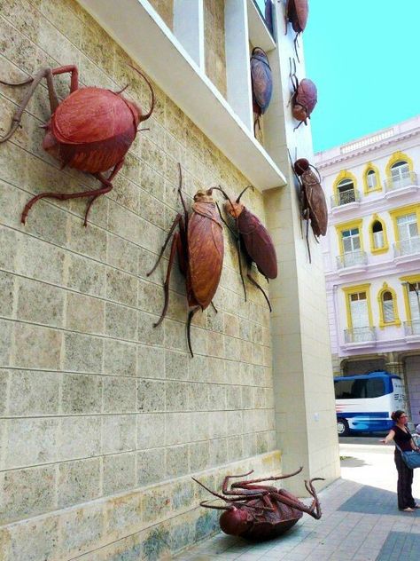 Giant Cockroach Sculptures with human faces by Cuban artist Roberto Fabelo Bug Sculpture, Giant Insects, Insect Sculpture, Cuban Artist, Old Havana, Human Faces, Bug Art, Moss Wall Art, Children's Garden