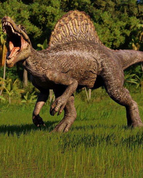 Spineasaurs Dinosaur, Tiger Fursuit, Dinosaur Photography, Spinosaurus Aegyptiacus, Dinosaur Books, Classic Monster Movies, Indominus Rex, Jurrasic Park, Dinosaur Images