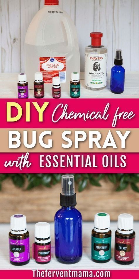 The Fervent Mama shares a DIY bug spray with essential oils. Need a bug spray but don't want harsh chemicals? Make this DIY bug spray with your favorite essential oils! It kills the bugs while making your house smell good! Homemade Bug Spray Essential Oils, Young Living Bug Spray, Diy Misquote Spray, Young Living Bug Spray Recipe, Essential Oil Bug Spray Recipe, Essential Oil Sprays, Mosquito Repellent Essential Oils, Essential Oil Bug Repellent, Essential Oil Bug Spray