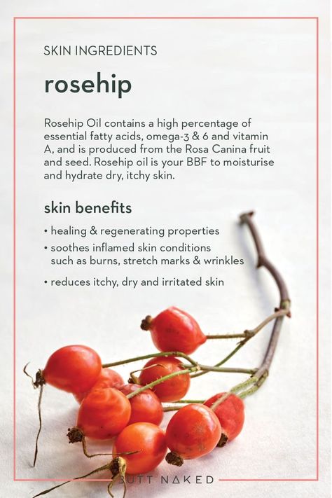 Rosehip Oil Benefits Skincare, Rosehips Benefits, Rose Hip Oil Benefits, Rosehip Benefits, Rosehip Seed Oil Benefits, Rosehip Oil For Face, Benefits Of Rosehip Oil, Rosehip Oil Benefits, Skin Facts