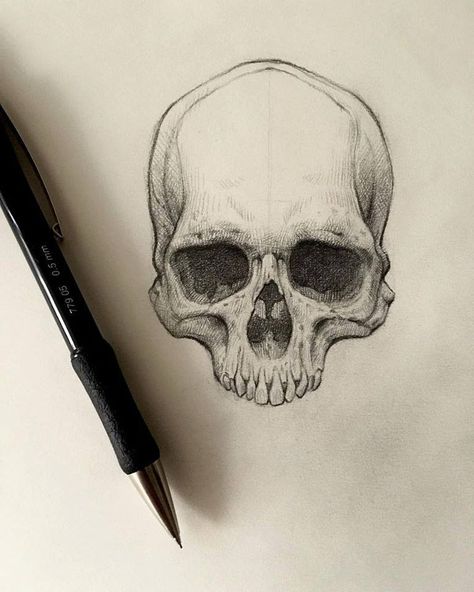 Small Skull Drawing, Creepy Skull Drawing, Animal Skull Drawing, Skull Drawing Sketches, American Traditional Tattoo Ideas, Traditional Tattoo Ideas, Skull Reference, Skull Sketch, Skull Art Drawing