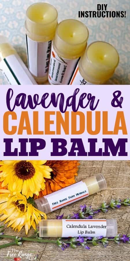 Lavender Lip Balm, Homemade Lip Balm Recipe, Diy Lip Balm Recipes, Lip Care Diy, Handmade Lip Balm, Lip Scrub Homemade, Homemade Moisturizer, Lip Balm Recipes, Diy Lotion