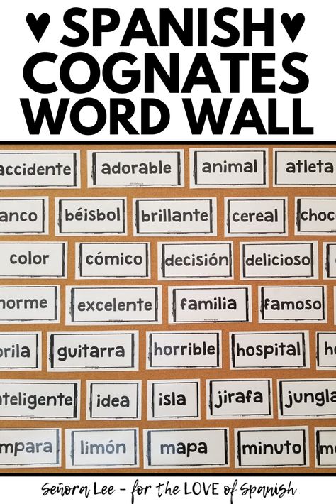 Spanish Cognate Word Wall | Post 117 easy to learn Spanish cognates & give students an instant visual resource to build vocabulary (& confidence!) as they read and write in Spanish. Cognates are instant comprehensible input to display all year long. Use Spanish word walls to decorate your classroom with Spanish vocabulary! Must have visual resource for back to school. Students will refer to these vocabulary words again and again! Cognates Activities, Spanish Cognates Activities, Spanish Tips, Spanish Cognates, Spanish Word Wall, Decorating Classroom, Spanish School, Comprehensible Input, Middle School Spanish