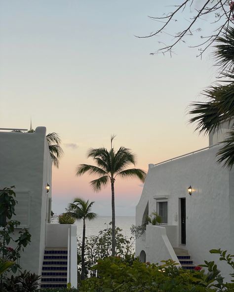 Sunrise | palm tree | pink sky | ocean | beach sunrise | white building | beach | ocean | caribbean sunrise | caribbean travel | luxury travel | luxury hotel | belmond hotels | art of belmond | Saint Martin | St Martin | French West Indies | travel photo | aesthetic sunrise #travel travel photography #travelphotographer #caribbean #luxury #luxurytravel #aesthetic St Martin Aesthetic, West Indies Aesthetic, Sint Maarten Aesthetic, St Barts Aesthetic, Saint Martin Caribbean, St Martin Caribbean, Caribbean Aesthetic, Martin French, Caribbean Summer