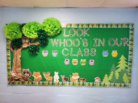 Forest Theme Classroom Bulletin Boards, Forest Themed Preschool Classroom, Forest Animal Bulletin Board Ideas, Woodland Theme Bulletin Board Ideas, Woodland Classroom Theme Bulletin Boards, Forest Theme Bulletin Board Ideas, Forest Theme Classroom Decorations, Zoo Bulletin Board Ideas Preschool, Forest Bulletin Board Ideas